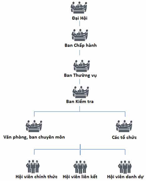 Cơ cấu tổ chức